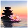 Picture of Lotus Flower and Stones