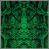 Picture of Snake Print