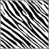 Picture of Zebra