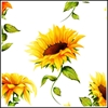 Picture of Sunflowers