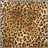 Picture of Leopard Print