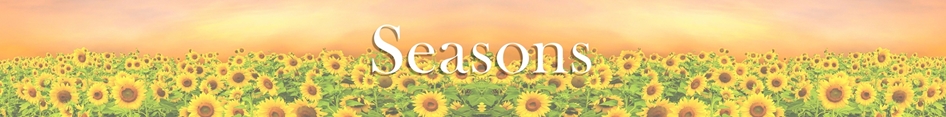 Picture for category Four Seasons